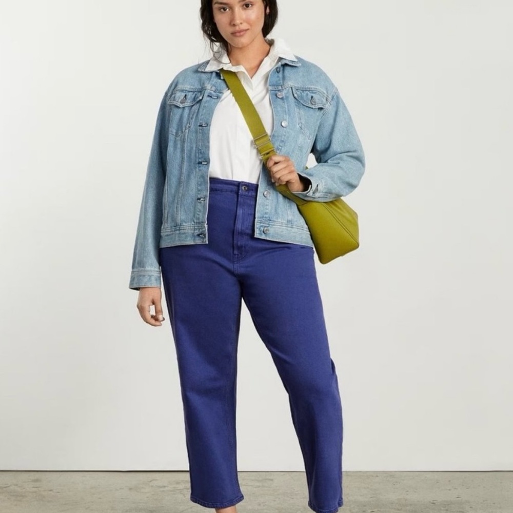 The Curvy Way High Straight Jeans in Archroma Deep Lapis by Everlane.